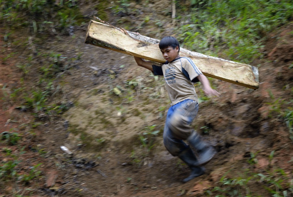 A boy carries a wooden timber destined for a mine tunnel in Pamintaran, a remote gold mining community near Maragusan on the Philippines' southern island of Mindanao. Marking the World Day Against Child Labor June 12, Pope Francis told people at his weekly general audience that he hoped the international community could find more effective means to stop the exploitation of boys and girls in jobs that are often dangerous and in situations where they are subjected to all kinds of abuse. PHOTO: CNS/Paul Jeffrey