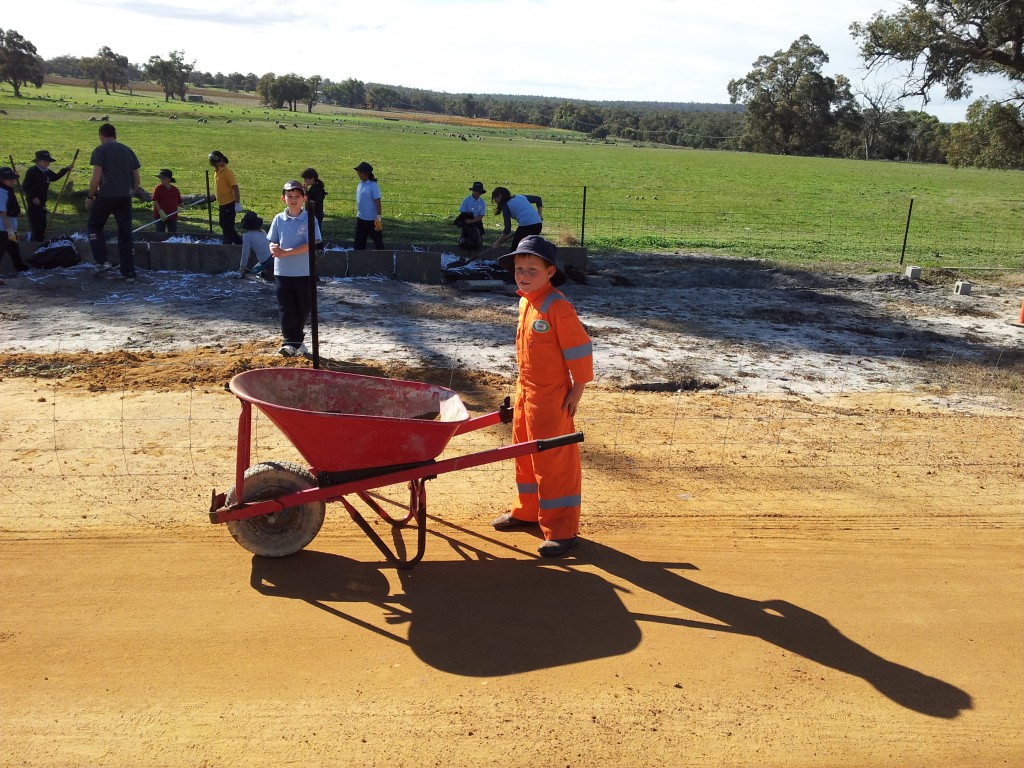 Our school: Year 3 and 4 Immaculate Heart College students work in their self-created vegetable garden in June. PHOTO: IMMACULATE HEART COLLEGE