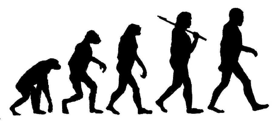 evolutionhumans