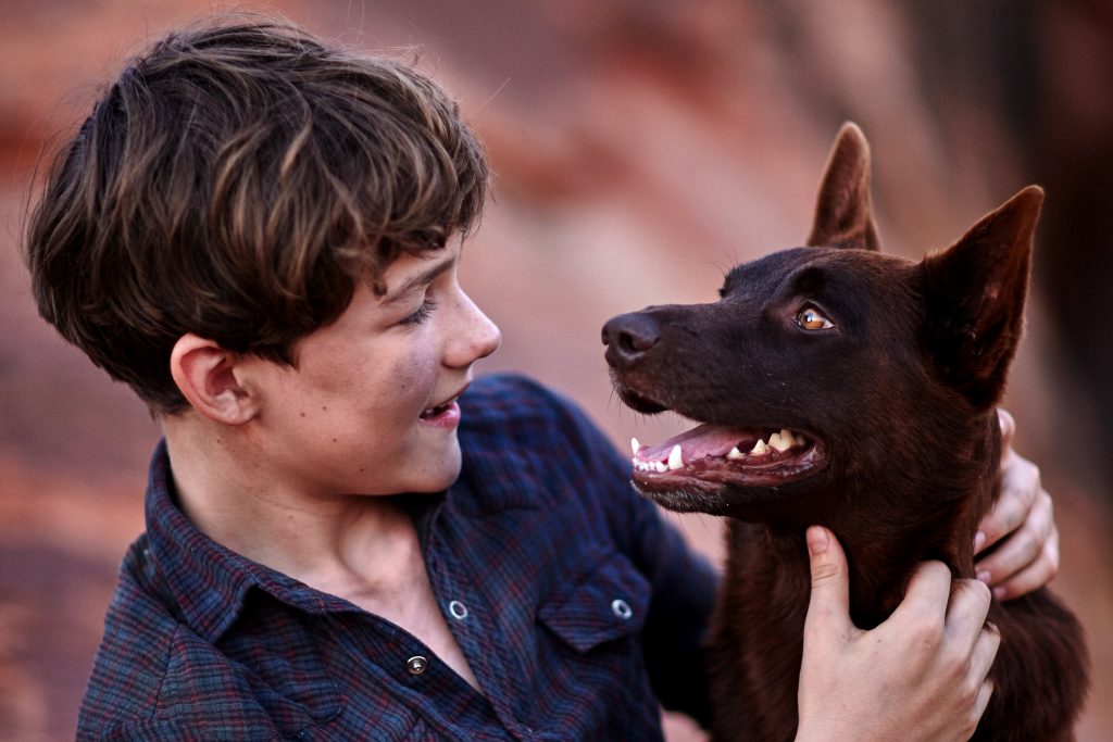 Mick (Levi Miller) hugs his new best friend Blue (Phoenix) in Red Dog: True Blue. Photo: Supplied