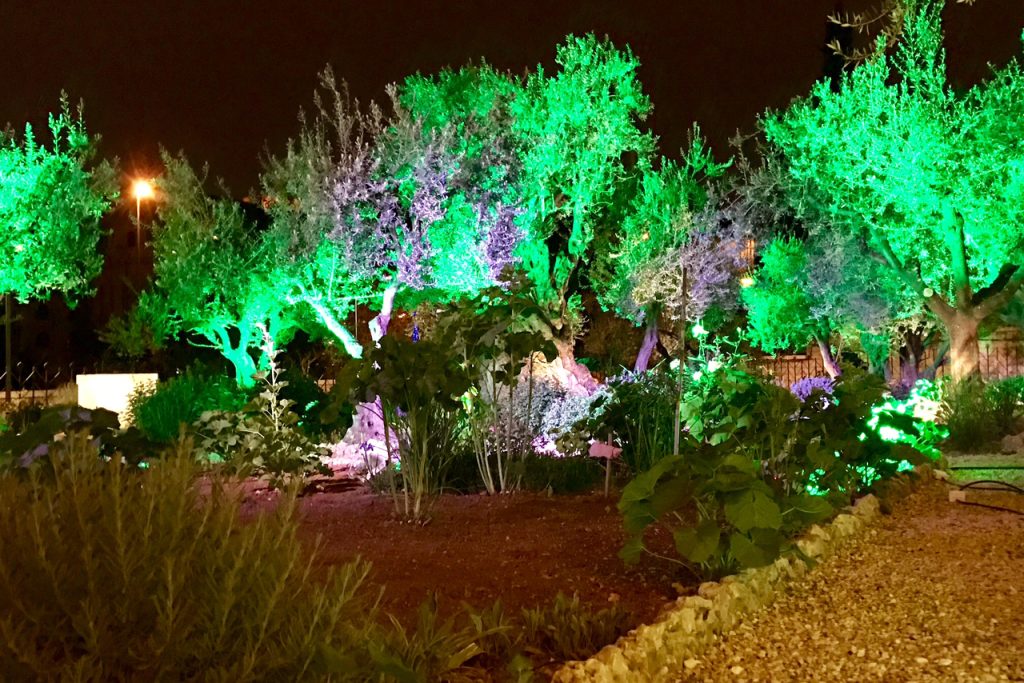 he Garden of Gethsemane at night on Good Friday. Photo: Gemma Thompson